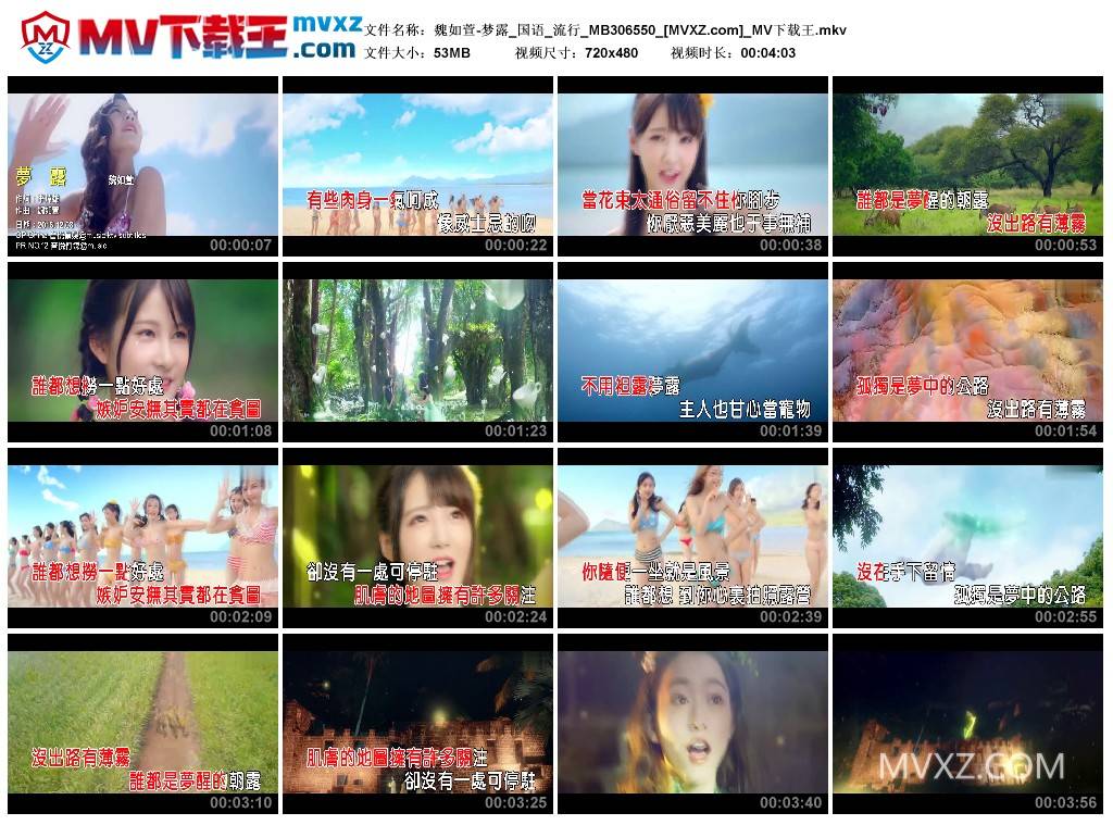 魏如萱-梦露_国语_流行_MB306550